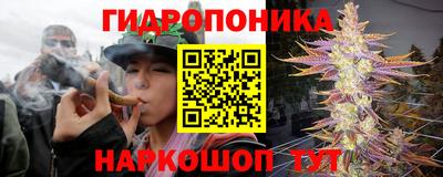 амф Можга