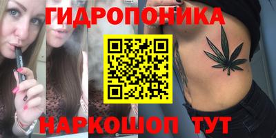амф Можга