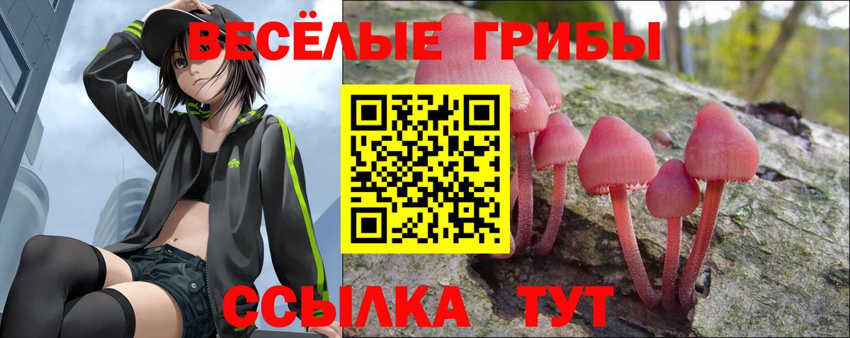 Галлюциногенные грибы мицелий Верхний Уфалей